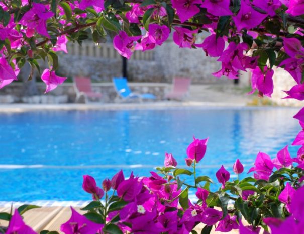 fiori e piscina
